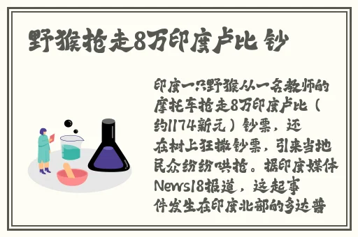 日本能看b站吗免费吗